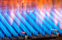 Whorlton gas fired boilers